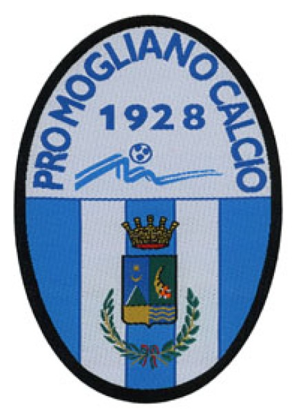 Pro Mogliano calcio