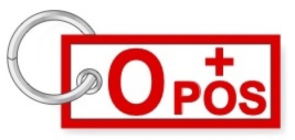 Portachiavi Gruppo Sanguigno 0 Zero + Positivo